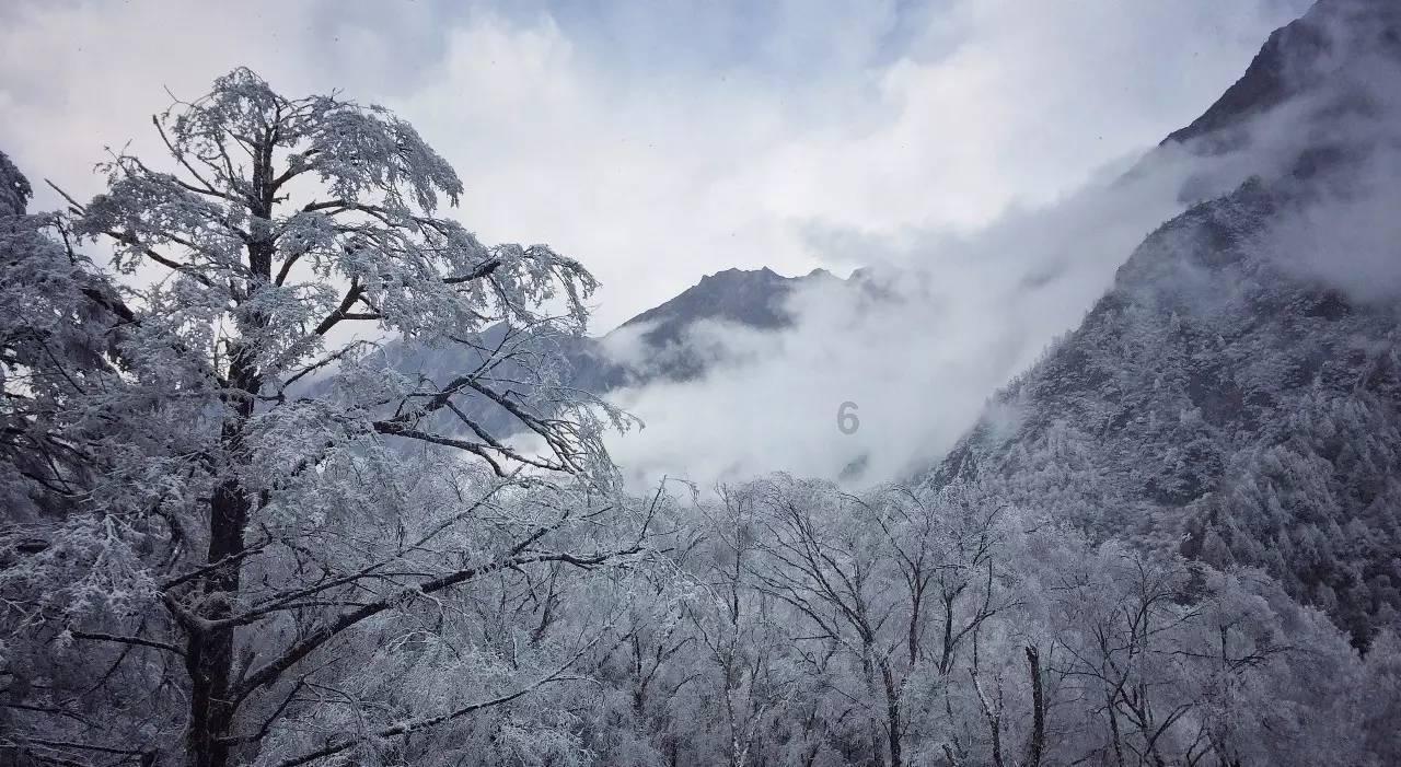 现货ETF上市后,比特币成主流资产?